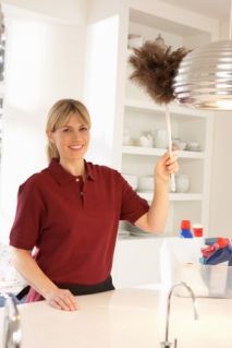 Stream Cleaning: A Different Approach to Your Home Cleaning