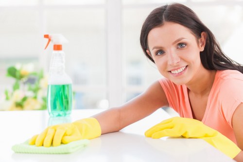 Professional cleaner in Westhampstead servicing a modern home