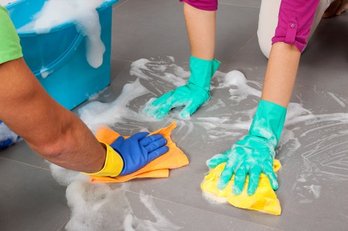 Professional domestic cleaning in a Westhampstead home