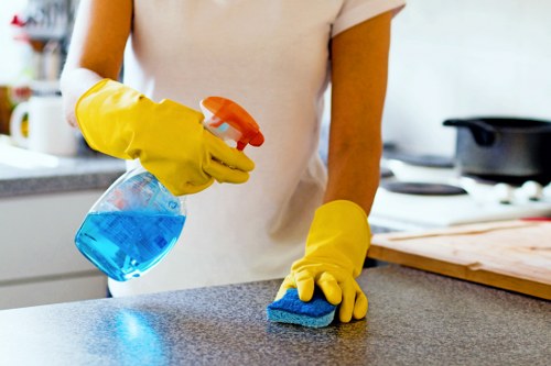 Cleaning professional reviewing safety procedures in a West Hampstead property
