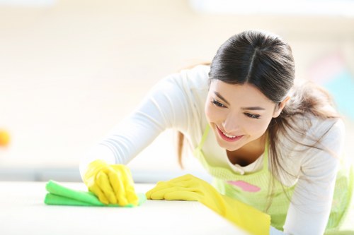 Kitchen cleaning service in Westhampstead home