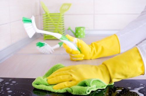 Deep carpet cleaning equipment used by a local cleaner