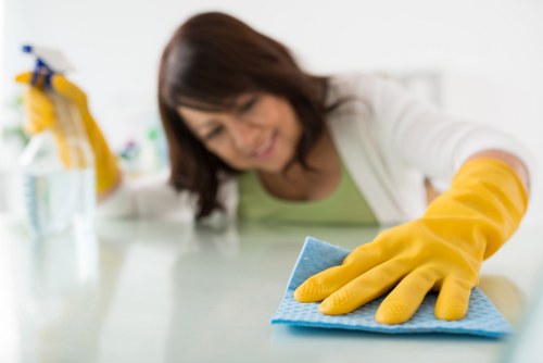 Detailed post-construction dust removal in a Westhampstead property