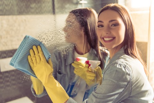 Cleaner removing stains from upholstery in Westhampstead