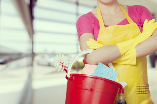 Professional carpet cleaning process in a West Hampstead home