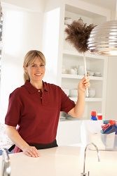 nw11 domestic cleaners west hampstead
